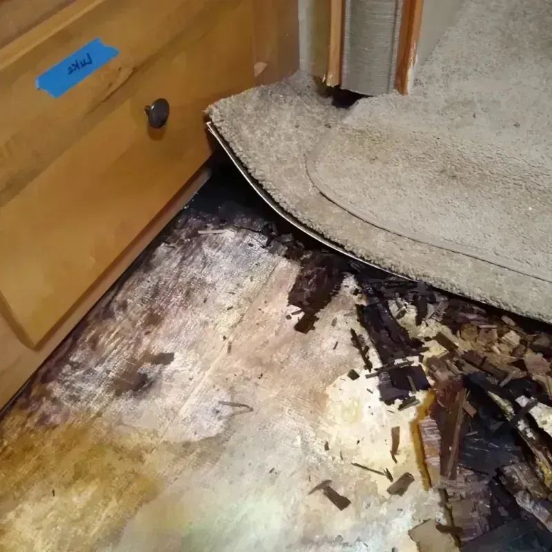 Wood Floor Water Damage in Candler-McAfee, GA